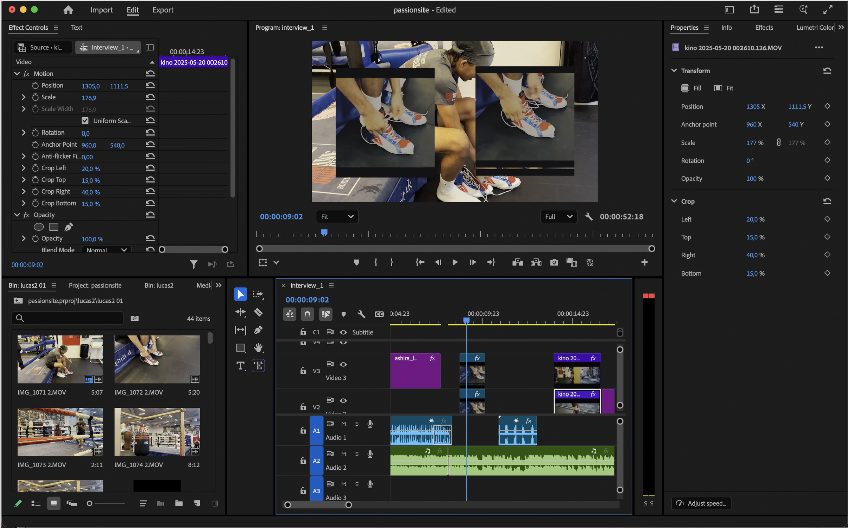 Premiere Pro timeline